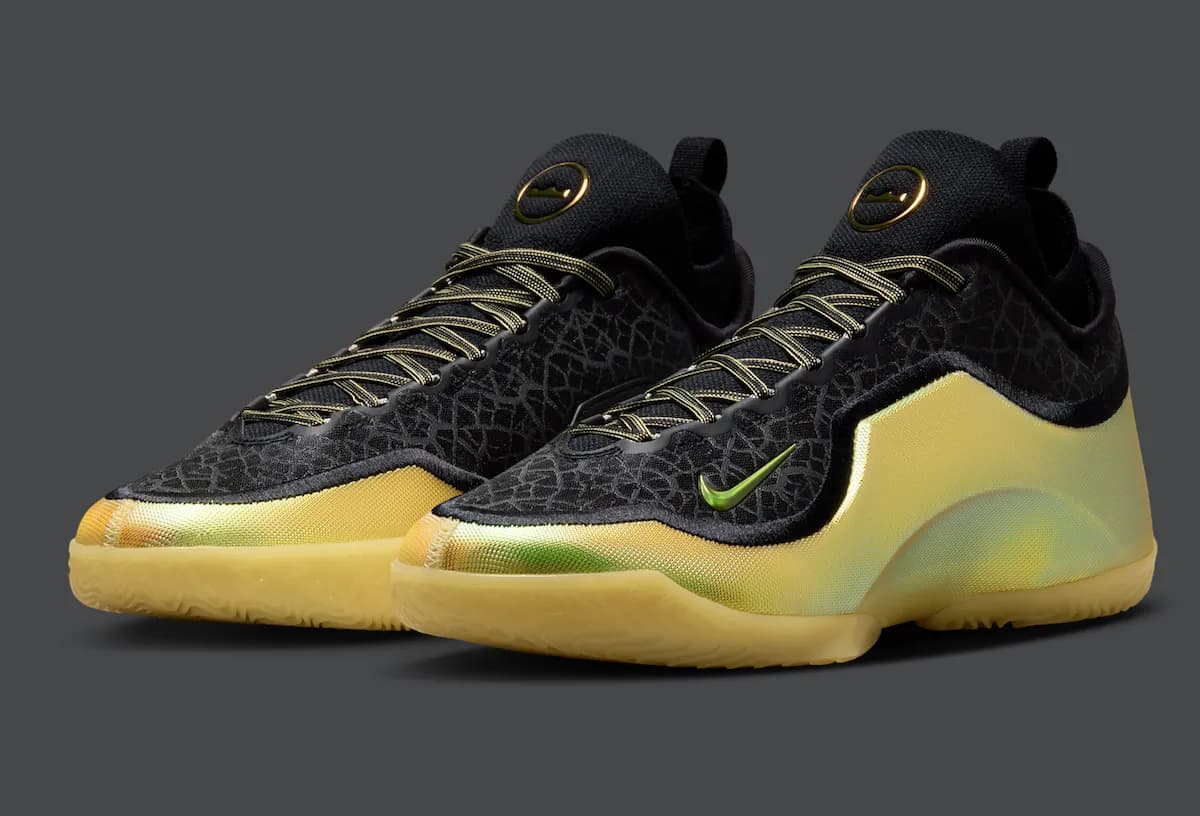 Nike LeBron 23 Elite Hurt Feelings Write History vista lateral
